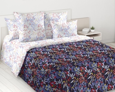 Постельное белье Ночной полет 1 Перкаль мультиколор